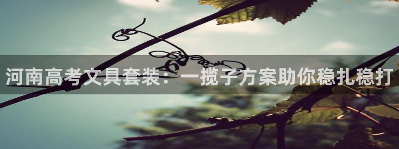 彩名堂排三：河南高考文具套装：一揽子方案