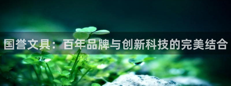 彩名堂计划技巧有哪些：国誉文具：百年品牌