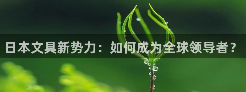 彩名堂人工计划客户端官网