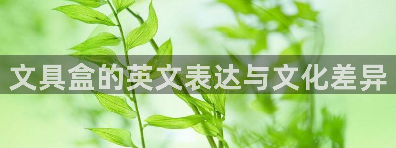 彩名堂app彩名堂客户端：文具盒的英文表