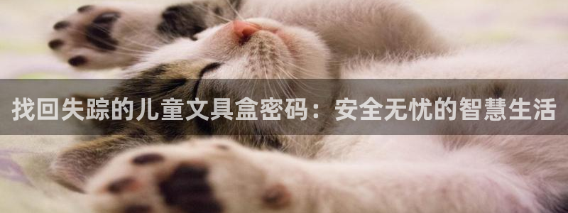 彩名堂计划和01计划怎么很稳：找回失踪的