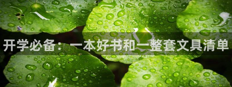 彩名堂客户端加拿大：开学必备：一本好书和