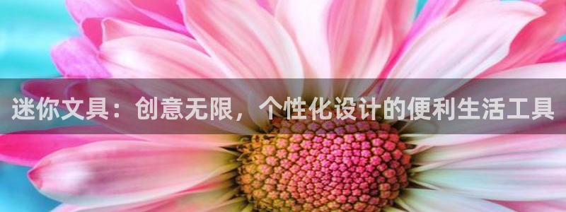 彩名堂计划软件下载：迷你文具：创意无限，