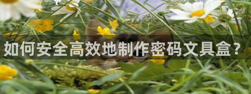 彩名堂官网计划01