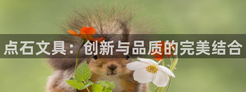 彩名堂官网网页计划：点石文具：创新与品质