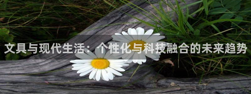 彩名堂免费计划官网老版本：文具与现代生活