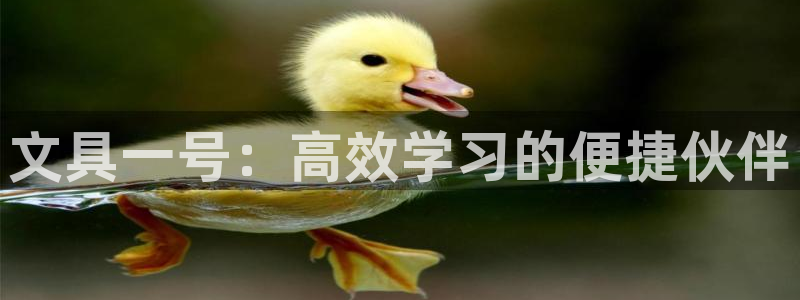 彩名堂计划怎么看：文具一号：高效学习的便