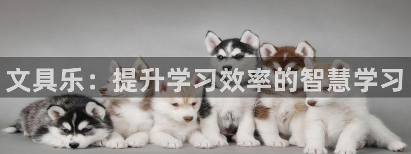 彩名堂计划怎么跟不挂：文具乐：提升学习效