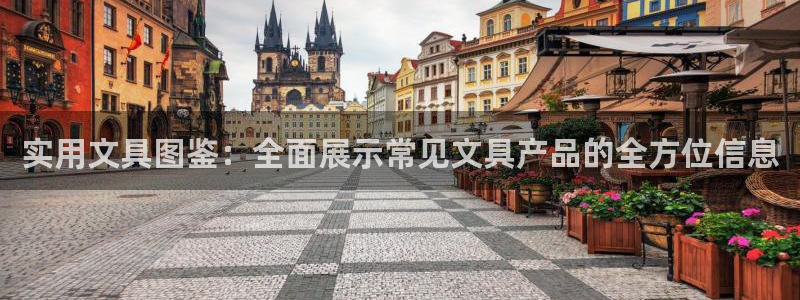 彩名堂计划技巧有哪些：实用文具图鉴：全面