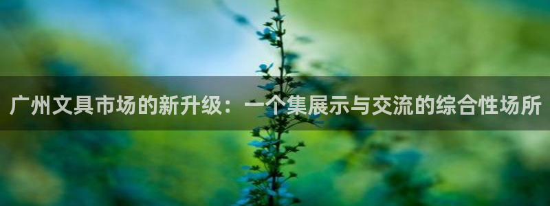 彩名堂官网2：广州文具市场的新升级：一个