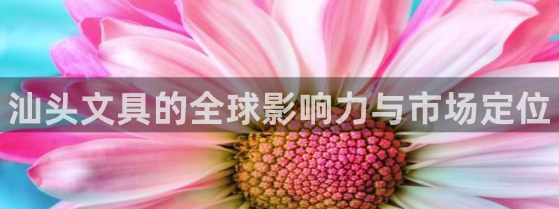 彩名堂App下载：汕头文具的全球影响力与