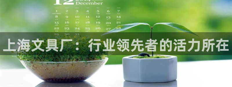 彩名堂彩：上海文具厂：行业领先者的活力所