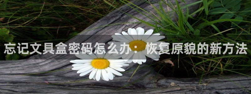 彩名堂首页：忘记文具盒密码怎么办：恢复原