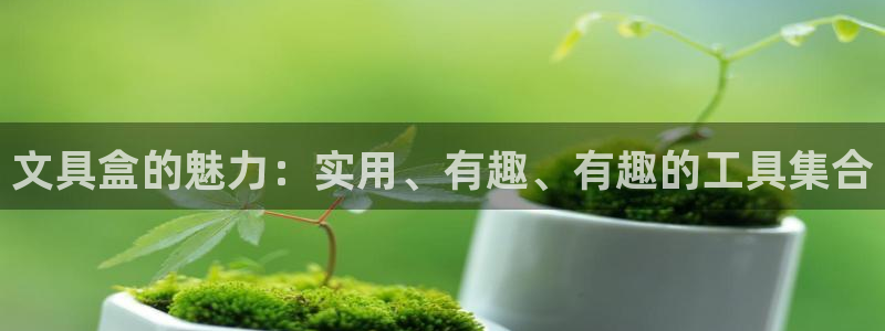 彩名堂在线下载：文具盒的魅力：实用、有趣