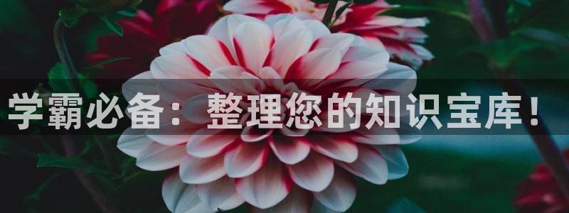 彩名堂预测软件与分析：学霸必备：整理您的