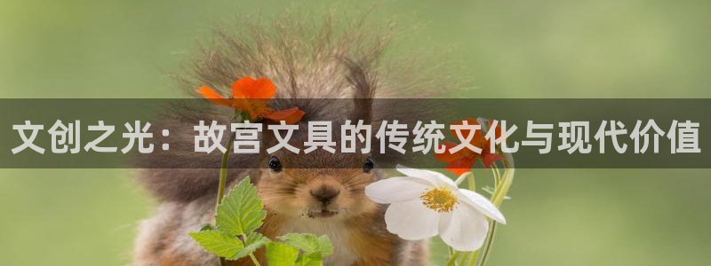 彩名堂免费计划使用方法是什么：文创之光：