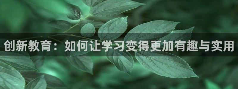 彩名堂怎么用不输：创新教育：如何让学习变