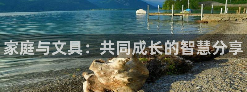 彩名堂是不是坑人的东西：家庭与文具：共同