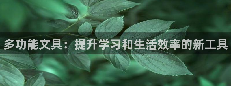彩名堂预测软件与分析软件区别：多功能文具